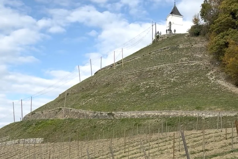 Terase vinograda in kapelica na vrhu mariborske Piramide.